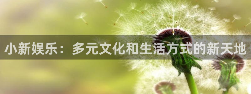 杏悦体育注册登录入口：小新娱乐：多元文化和生活方式的新天地