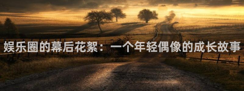 杏悦体育eon：娱乐圈的幕后花絮：一个年轻偶像的成长故事