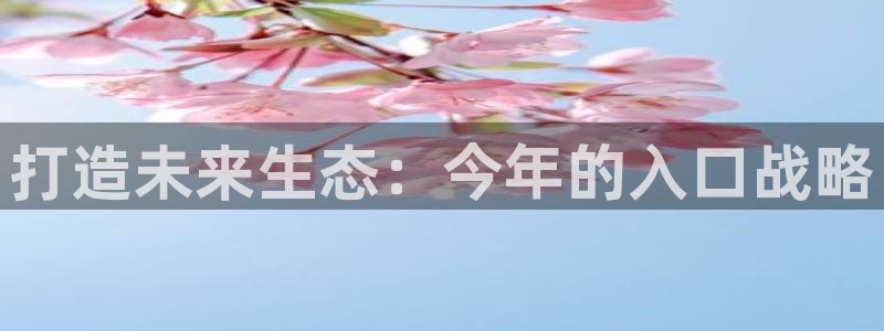 杏悦kgame：打造未来生态：今年的入口战略
