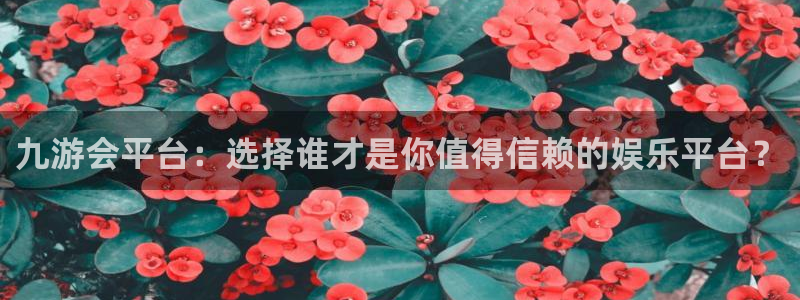 杏悦2体育：九游会平台：选择谁才是你值得信赖的娱乐平台？