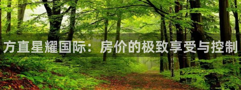 杏悦体育凯捷平台注册：方直星耀国际：房价的极致享受与控制