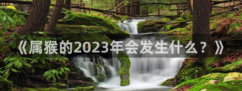 杏悦主管：《属猴的2023年会发生什么？》