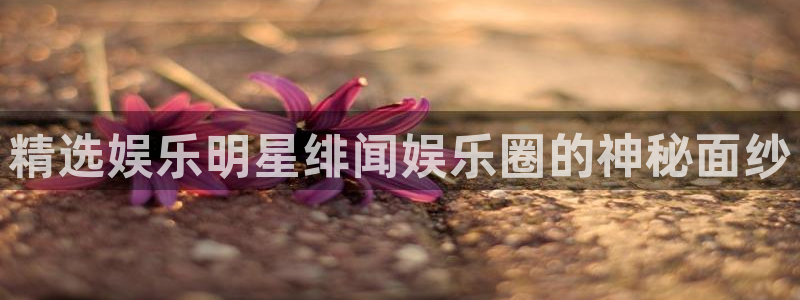 杏悦体育论坛：精选娱乐明星绯闻娱乐圈的神秘面纱