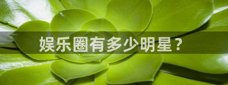 杏悦3注册：娱乐圈有多少明星？