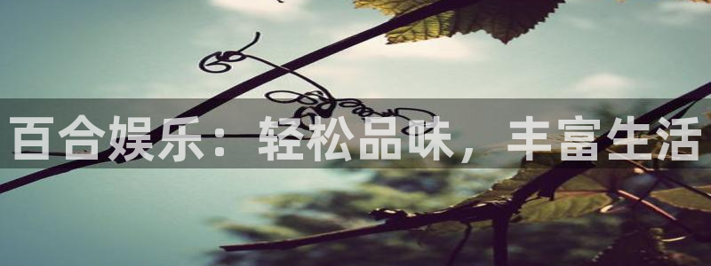 杏悦登录界面入口：百合娱乐：轻松品味，丰富生活