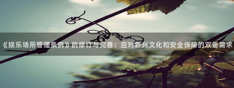 杏悦体育凯捷登陆：《娱乐场所管理条例》的修订与完善：应对新兴文化和安全保障的双重