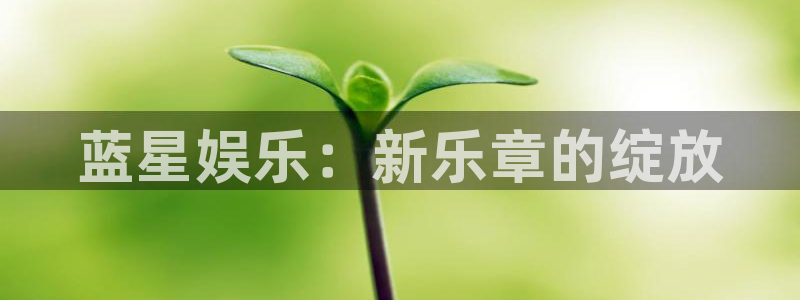 杏悦官网注册：蓝星娱乐：新乐章的绽放