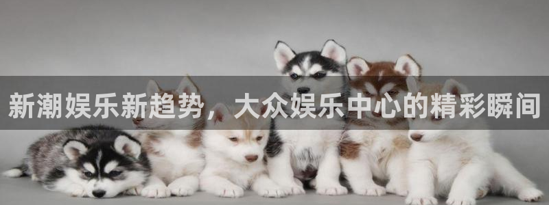 杏悦体育在线注册：新潮娱乐新趋势，大众娱乐中心的精彩瞬间