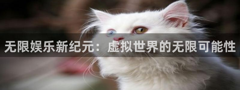 杏悦2登录：无限娱乐新纪元：虚拟世界的无限可能性
