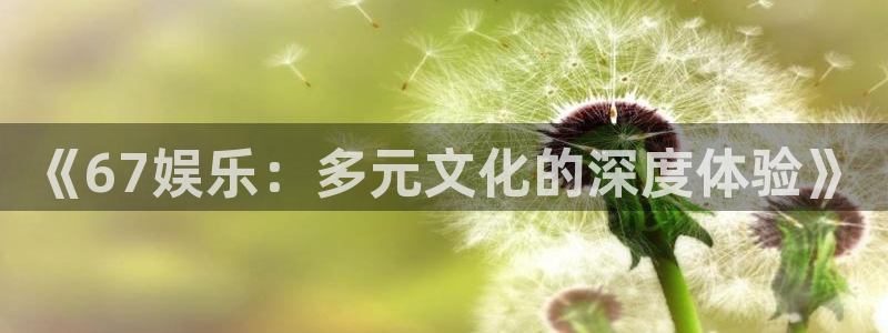 杏悦凯捷平台：《67娱乐：多元文化的深度体验》
