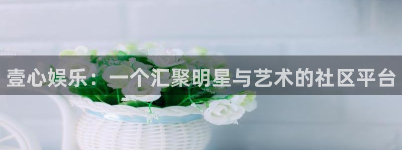 杏悦体育凯捷平台招商：壹心娱乐：一个汇聚明星与艺术的社区平台