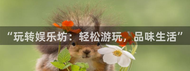 杏悦体育2官网入口：“玩转娱乐坊：轻松游玩，品味生活”