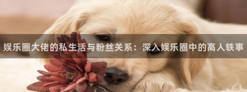 杏悦体育：娱乐圈大佬的私生活与粉丝关系：深入娱乐圈中的高人轶事