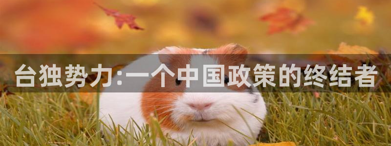 杏悦体育注册代理：台独势力:一个中国政策的终结者