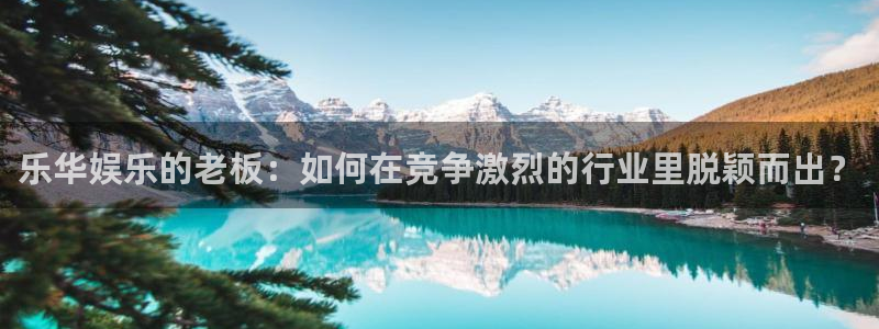 杏悦平台官网：乐华娱乐的老板：如何在竞争激烈的行业里脱颖而出？