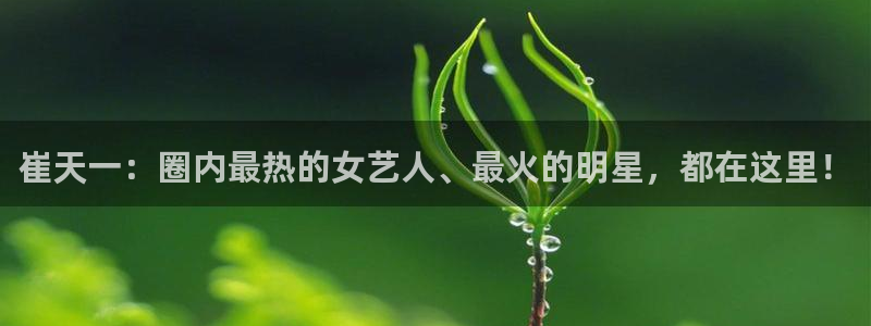 杏悦体育老板是谁：崔天一：圈内最热的女艺人、最火的明星，都在这里！