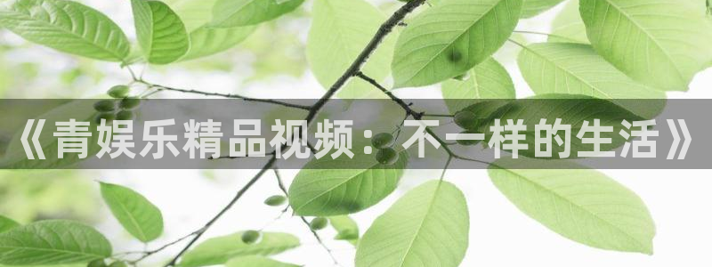 杏悦3注册：《青娱乐精品视频：不一样的生活》