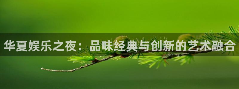 杏悦官网：华夏娱乐之夜：品味经典与创新的艺术融合