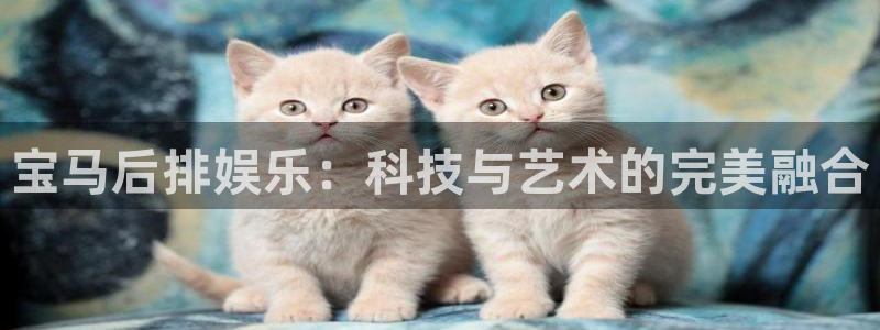 杏悦体育热门赛事有哪些：宝马后排娱乐：科技与艺术的完美融合