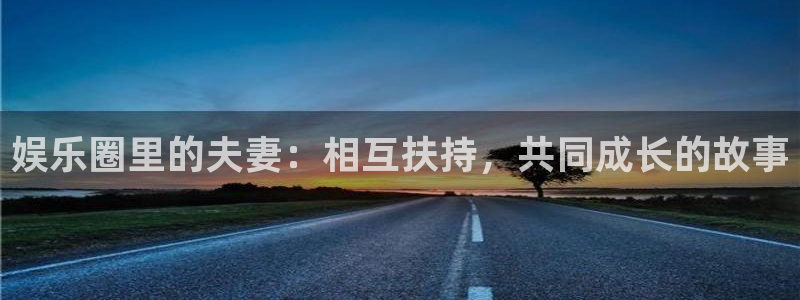 成都杏悦电子有限公司：娱乐圈里的夫妻：相互扶持，共同成长的故事
