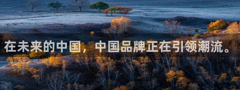杏悦体育注册登录入口：在未来的中国，中国品牌正在引领潮流。