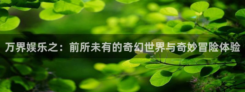 杏悦平台在线注册：万界娱乐之：前所未有的奇幻世界与奇妙冒险体验
